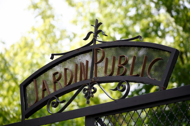 fougeres jardinpublic 5247 david borde