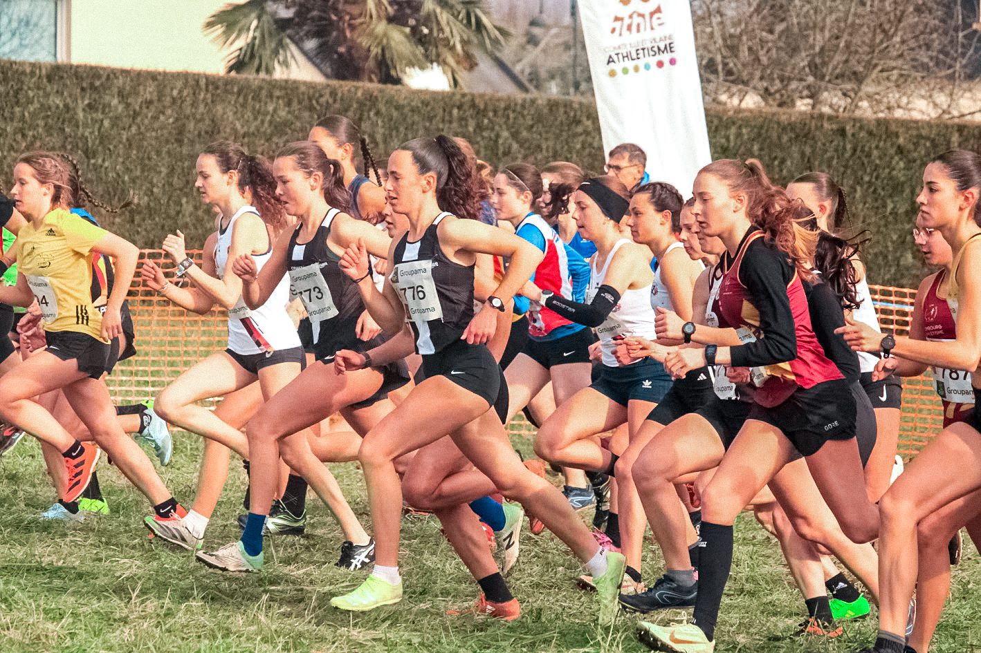 Cross départemental 2025
