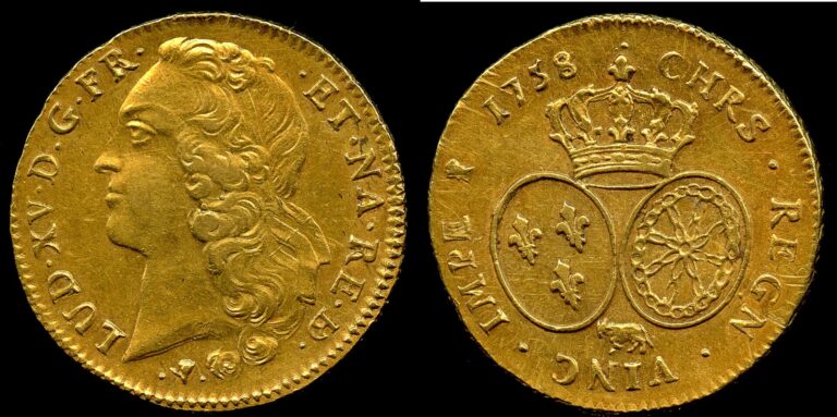 Vue d'un louis d'or pile et face