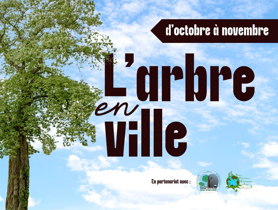 L'Arbre en Ville - exposition et animations
